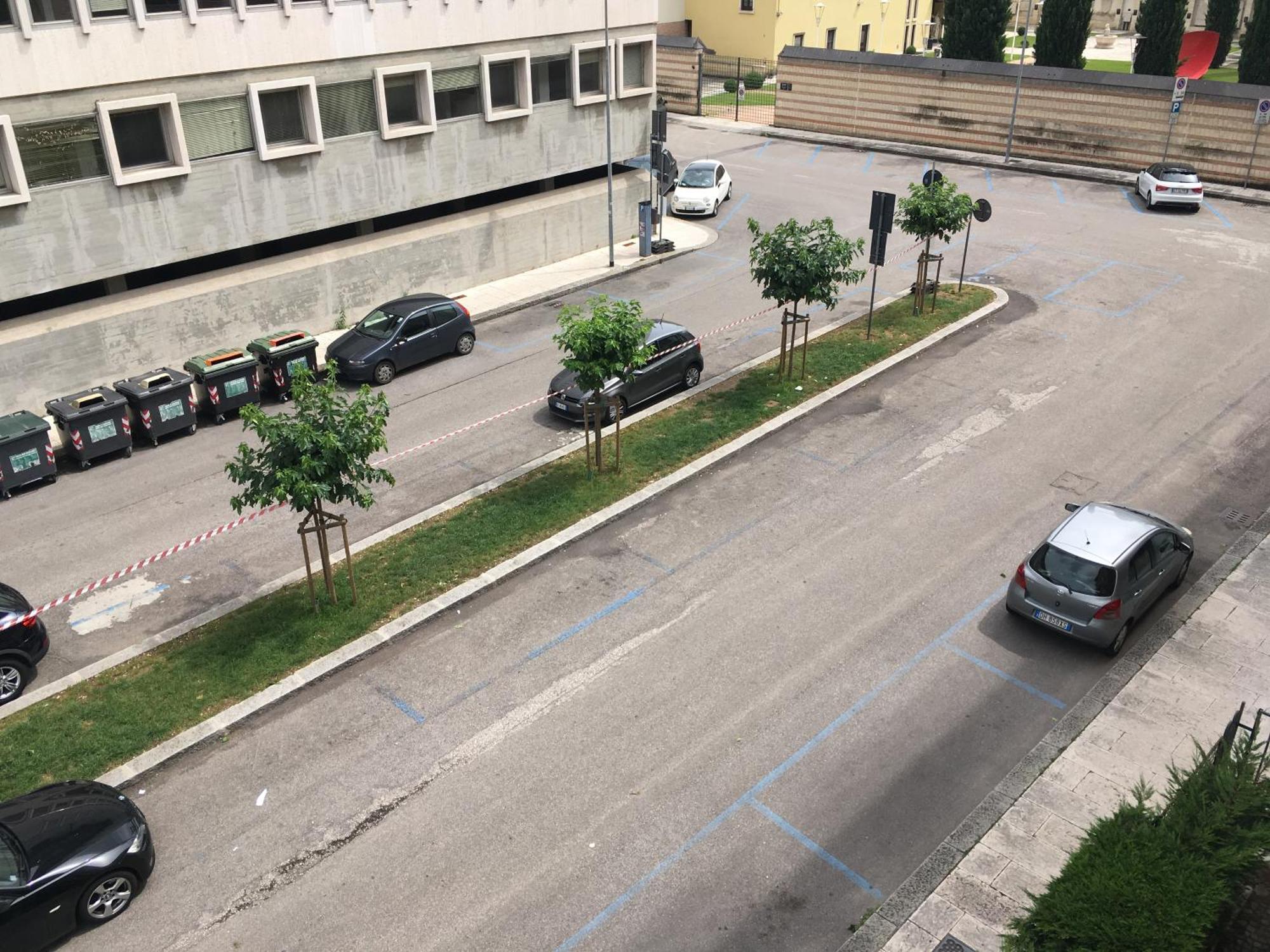 Bed and Breakfast Domus Fluminis Verona Esterno foto